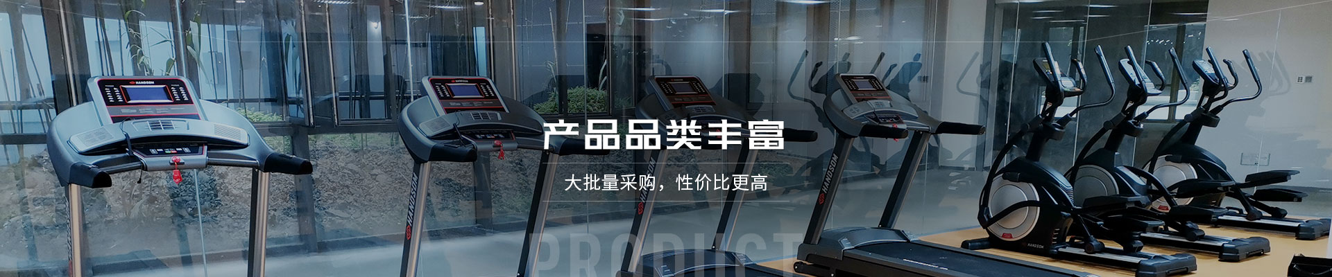 室內(nèi)健身器材