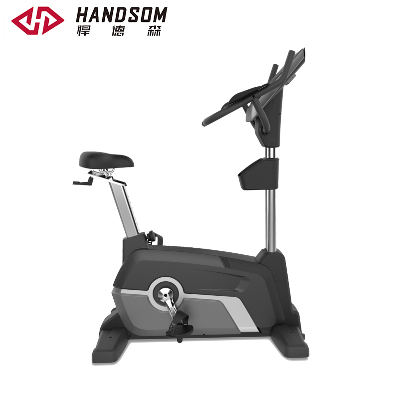 悍德森HS-9910 立式健身車