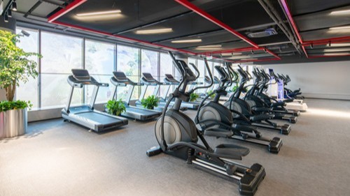 健身器材名稱及圖片基礎(chǔ)的都有哪些！悍德森來為您解答!